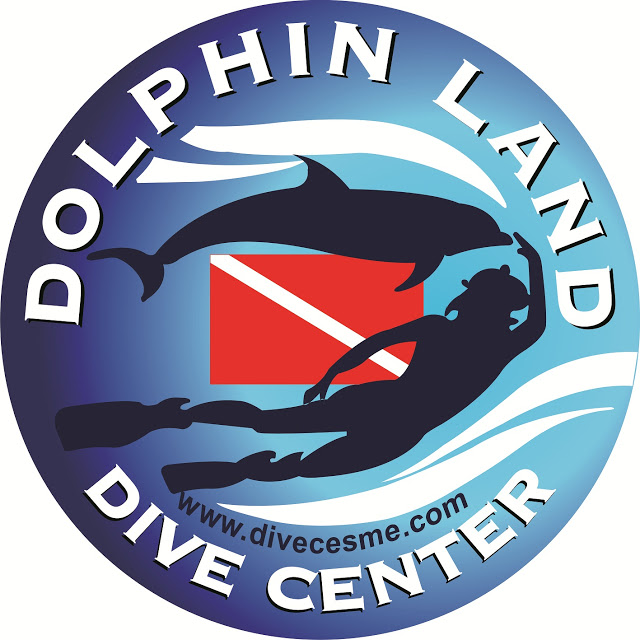 DolphinLand DIVING CENTER
